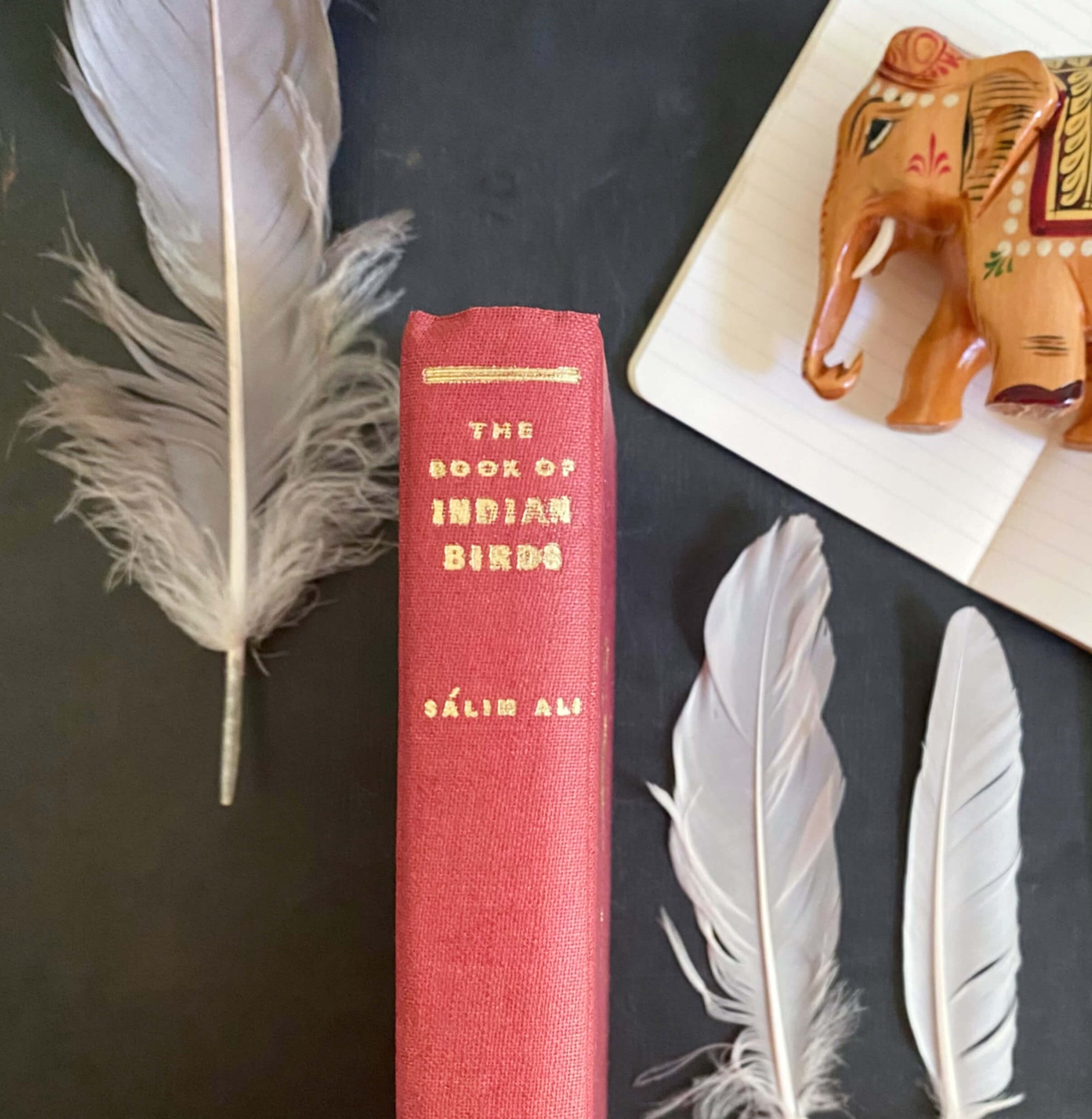 The Book of Indian Birds by Salim Ali - 1961 Sixth Edition Bombay Natural History Society