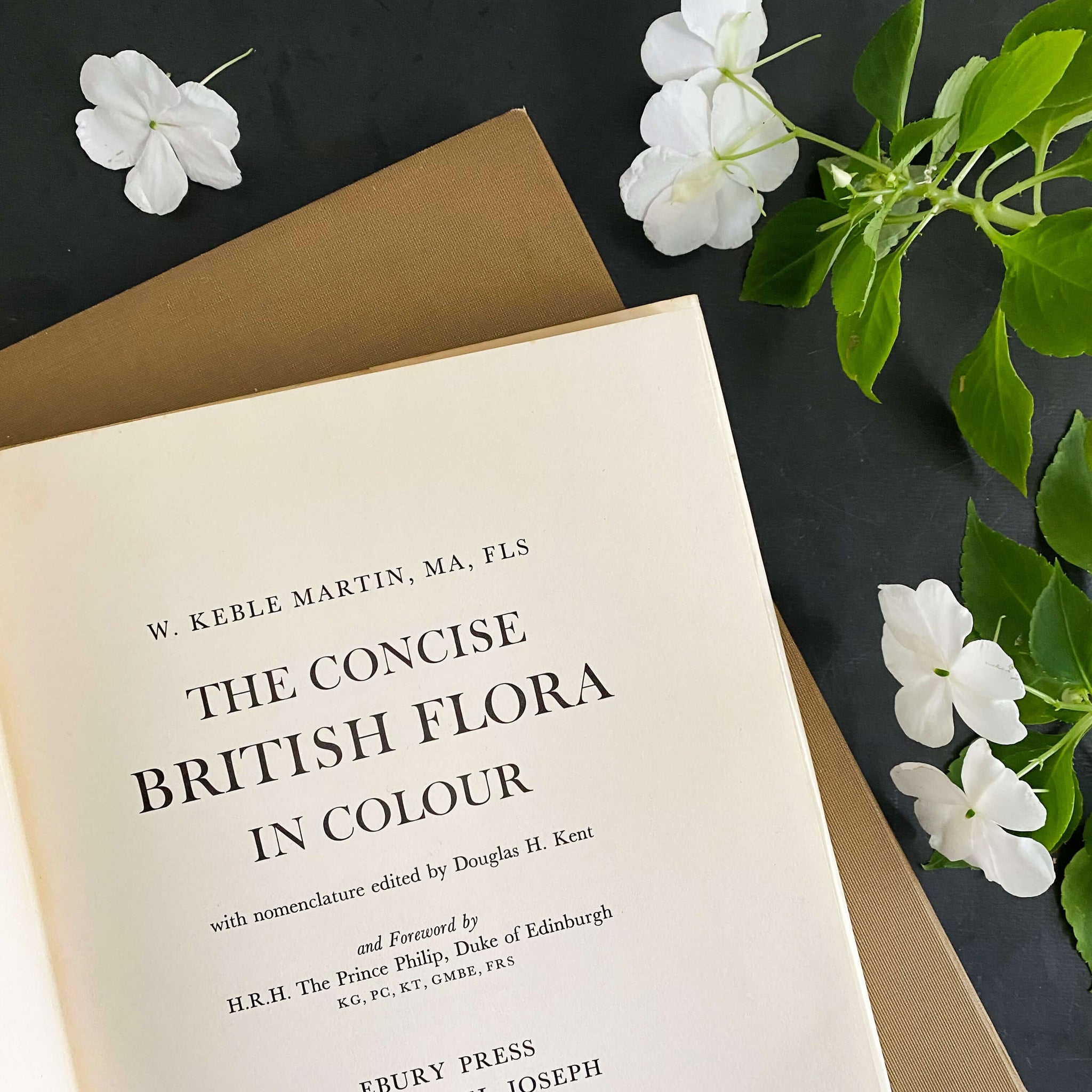 The Concise British Flora in Colour by W. Keble Martin -1965 Edition, 4th Impression
