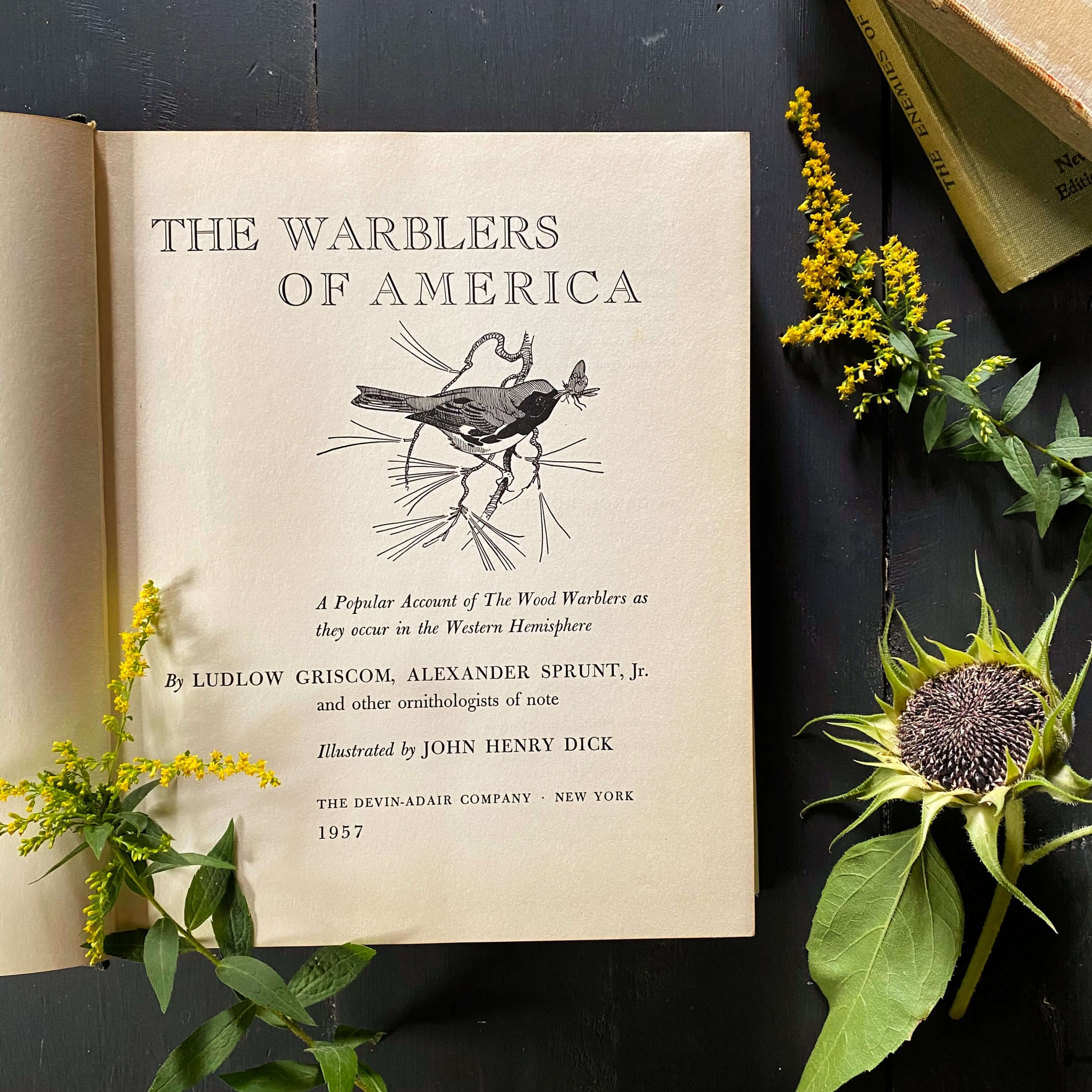 The Warblers of North America by Ludlow Griscom and Alexander Sprunt Jr. with Illustrations by John Henry Dick - 1957 First Printing