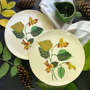 Vintage 1950s Universal Ballerina Hazelnut Dinner Plates - Set of Two