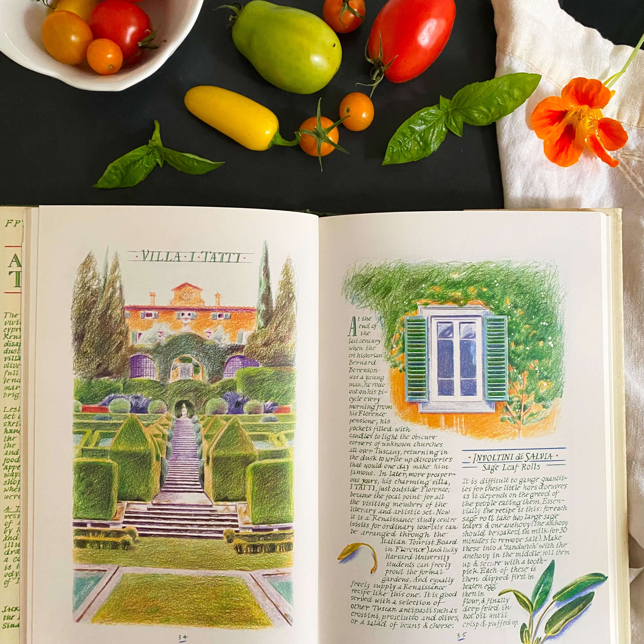 A Taste of Tuscany by Leslie Forbes - 1985 Edition First American Printing