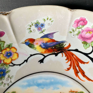 Vintage Arzberg Bavaria Porcelain Niagara Falls Cake Plate with Bird and Floral Design circa 1920s-1930s
