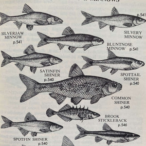 Complete Field Guide to American Wildlife by Henry Hill Collins Jr - 1959 Edition