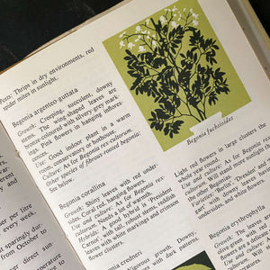 encyclopedia of indoor plants The Pocket Encyclopedia of Indoor Plants - Age Nicolaisen