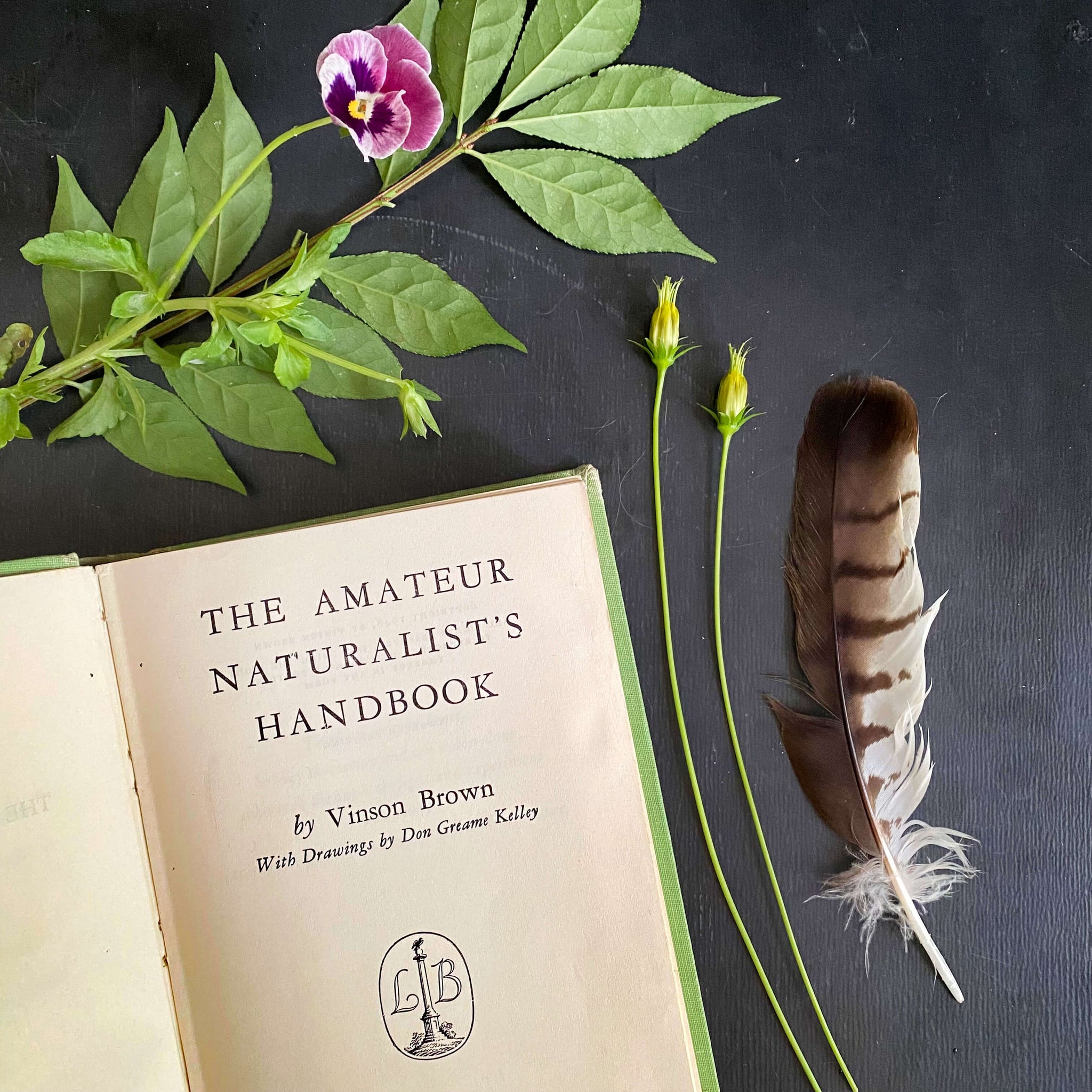 The Amateur Naturalist's Handbook by Vinson Brown - 1948 Edition 12th Printing