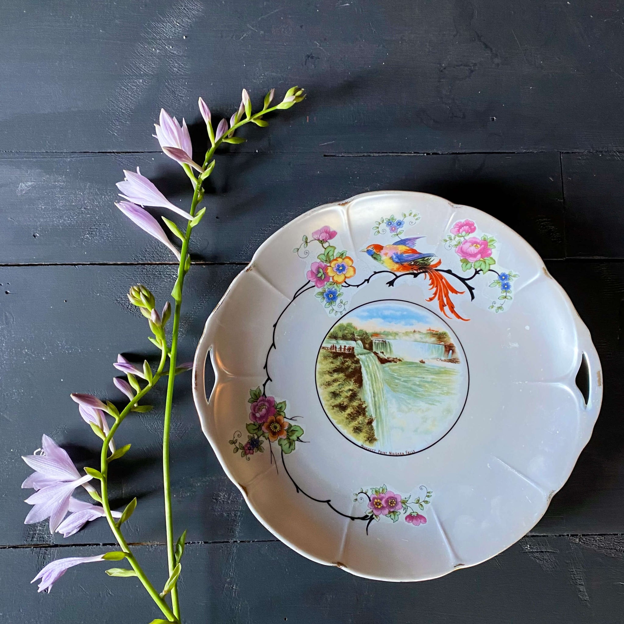Vintage Arzberg Bavaria Porcelain Niagara Falls Cake Plate with Bird and Floral Design circa 1920s-1930s