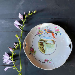 Vintage Arzberg Bavaria Porcelain Niagara Falls Cake Plate with Bird and Floral Design circa 1920s-1930s