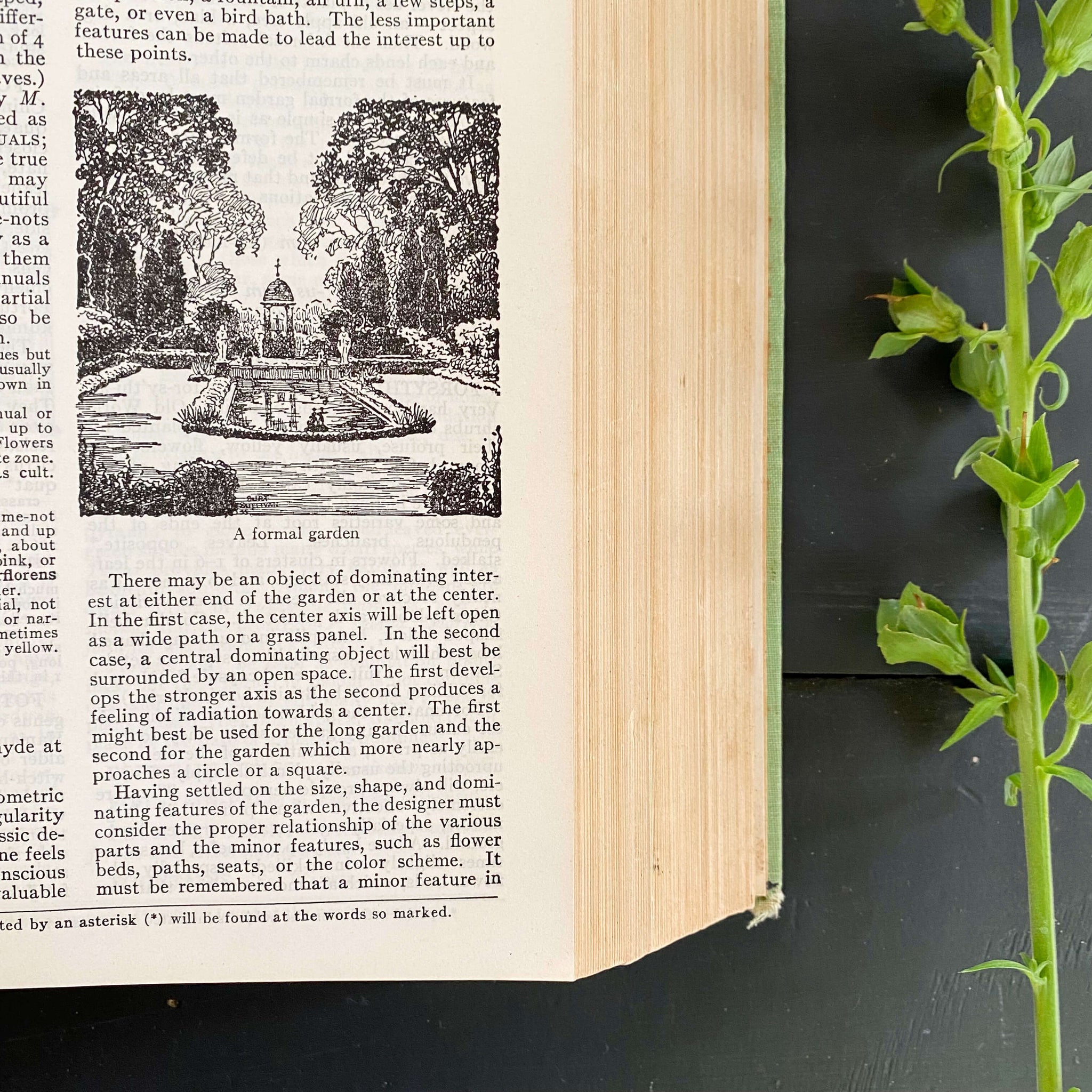 Vintage 1950s Gardening Book - Taylor's Encyclopedia of Gardening Edited by Norman Taylor - 1956 Edition