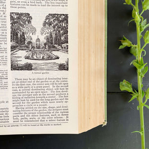 Vintage 1950s Gardening Book - Taylor's Encyclopedia of Gardening Edited by Norman Taylor - 1956 Edition