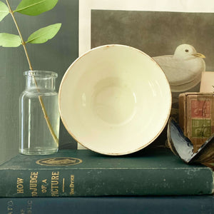Rare Vintage Morley, Fox & Co Springtime Bowl circa 1938 Made in England