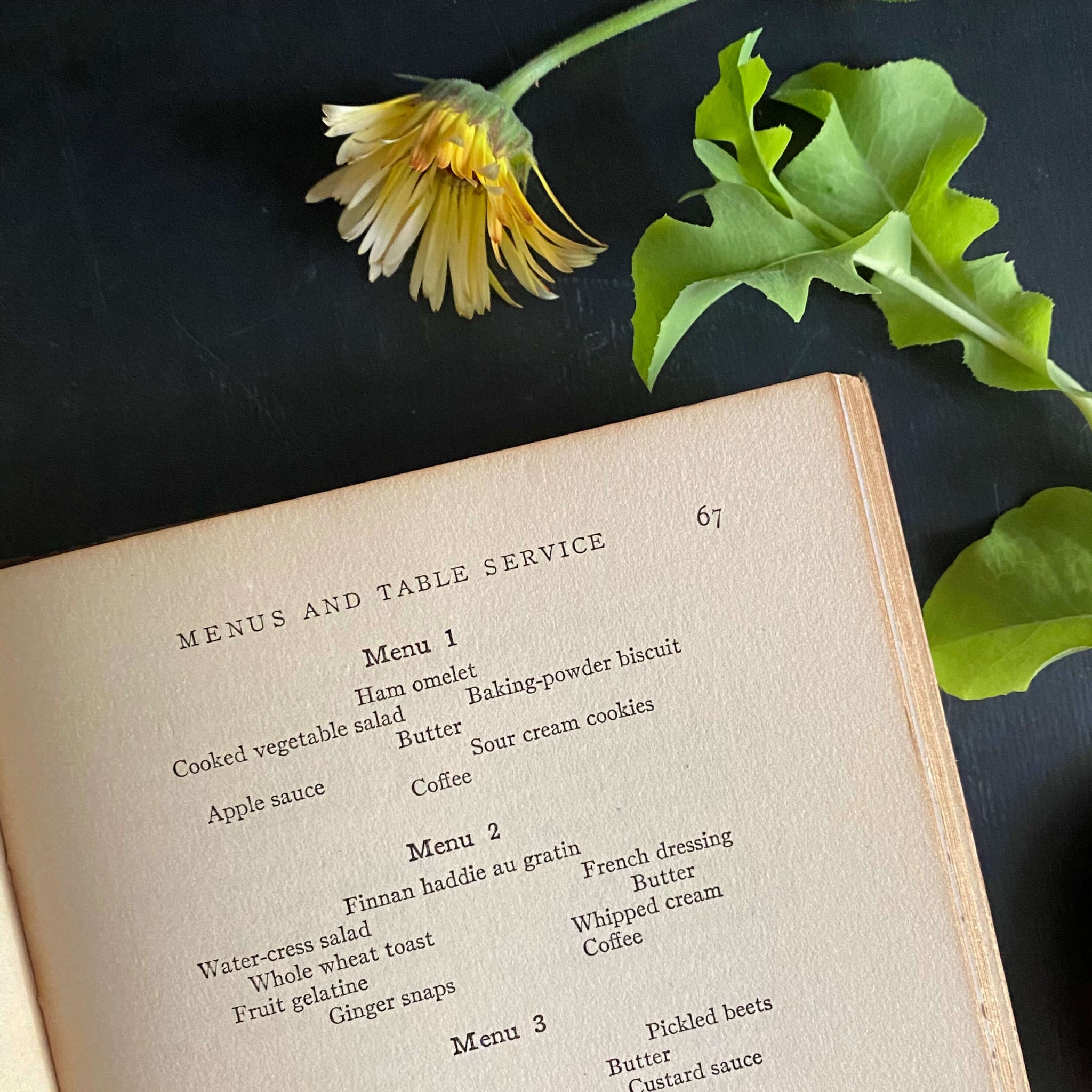 The International Cook Book by Margaret Weimer Heywood - 1930s Edition