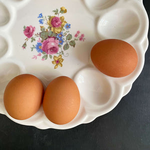 Vintage 1940s Floral Deviled Egg Dish by E & R American Art Ware