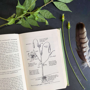 The Amateur Naturalist's Handbook by Vinson Brown - 1948 Edition 12th Printing