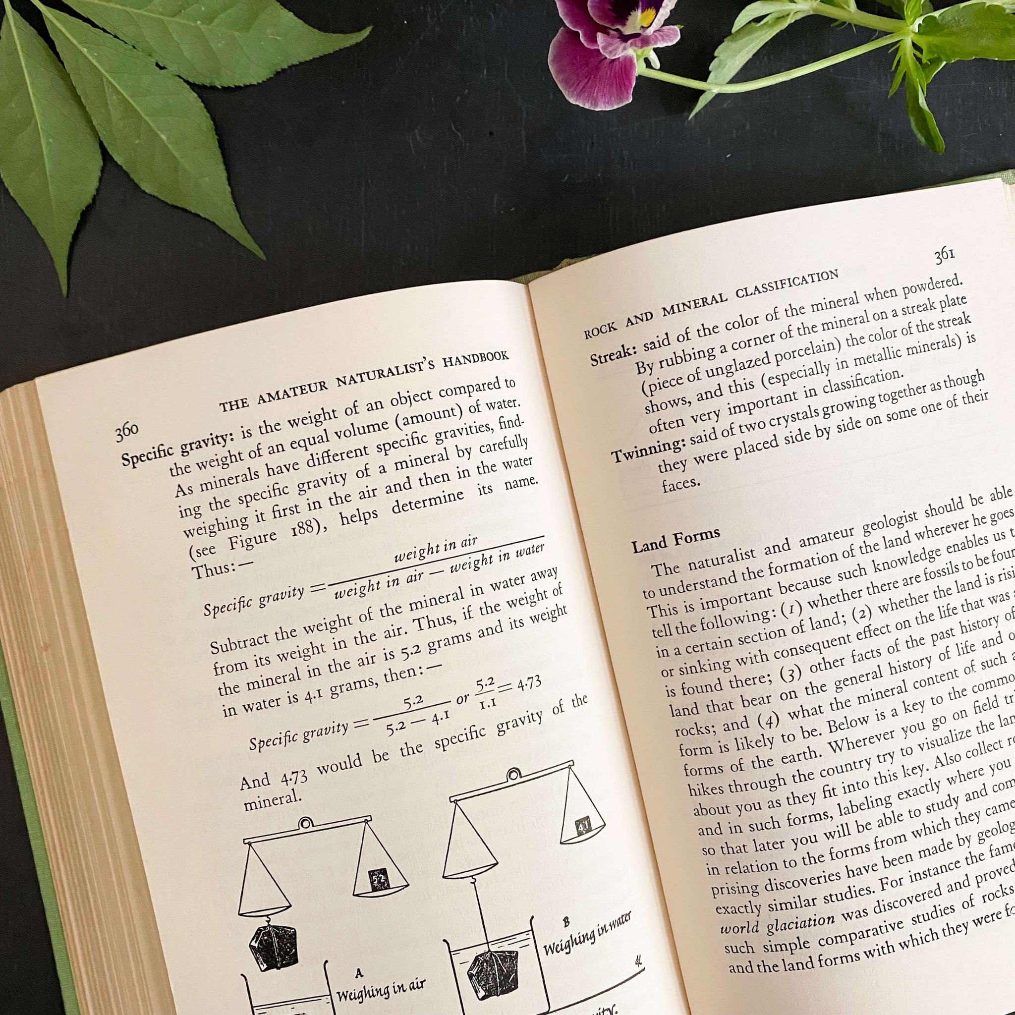 The Amateur Naturalist's Handbook by Vinson Brown - 1948 Edition 12th Printing