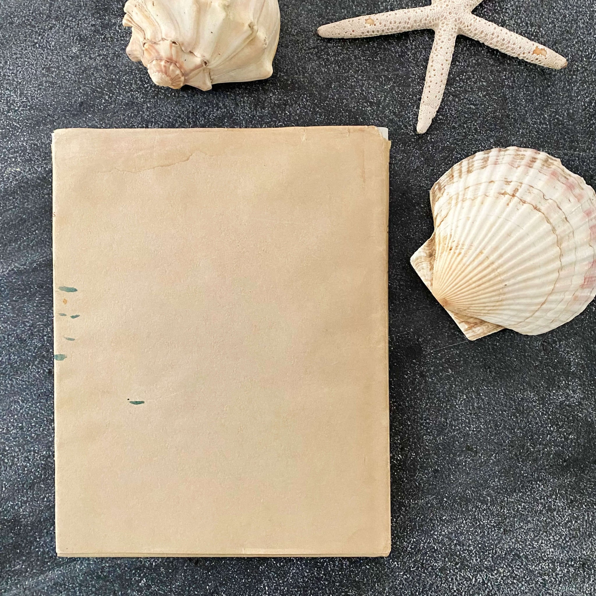 Wonders of the Sea Shells by Paul-Andre Robert & Julian Huxley - 1945 Edition Iris Books