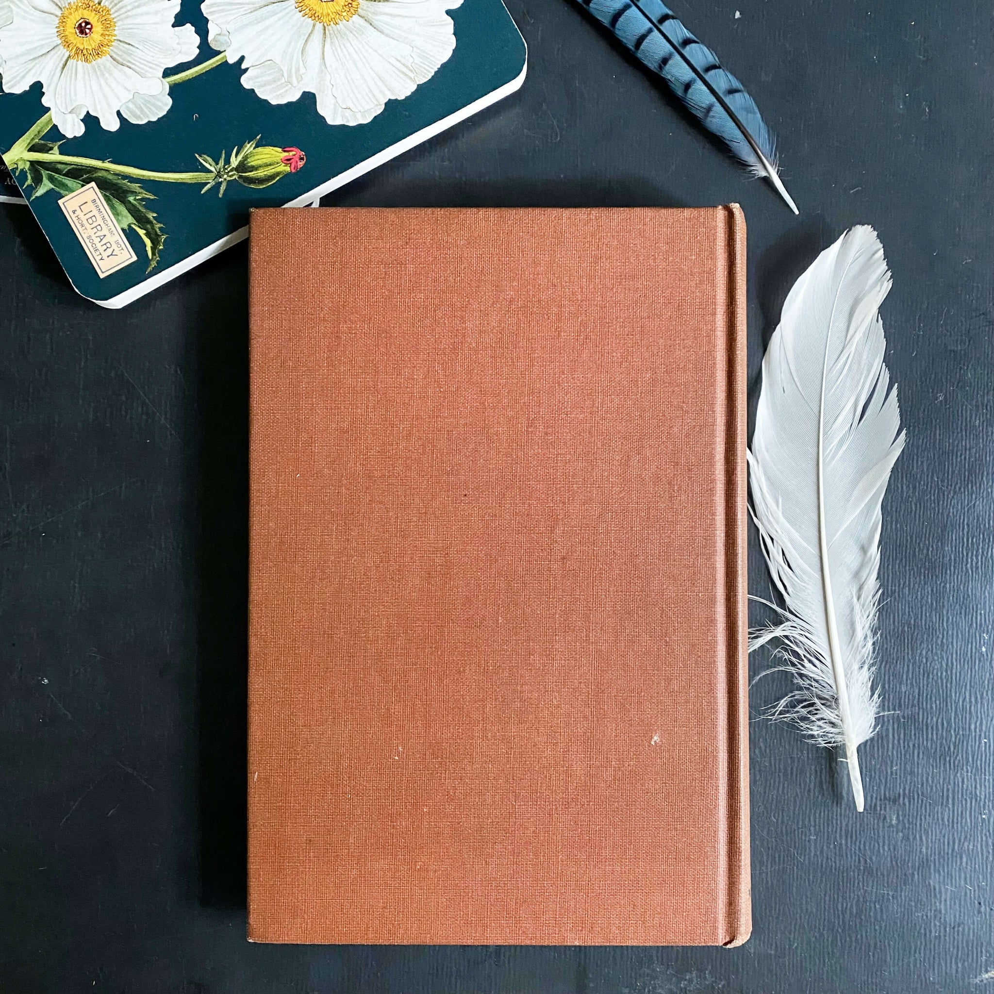 Field Guide to Birds of the West Indies by James Bond - 1947 Edition First Printing