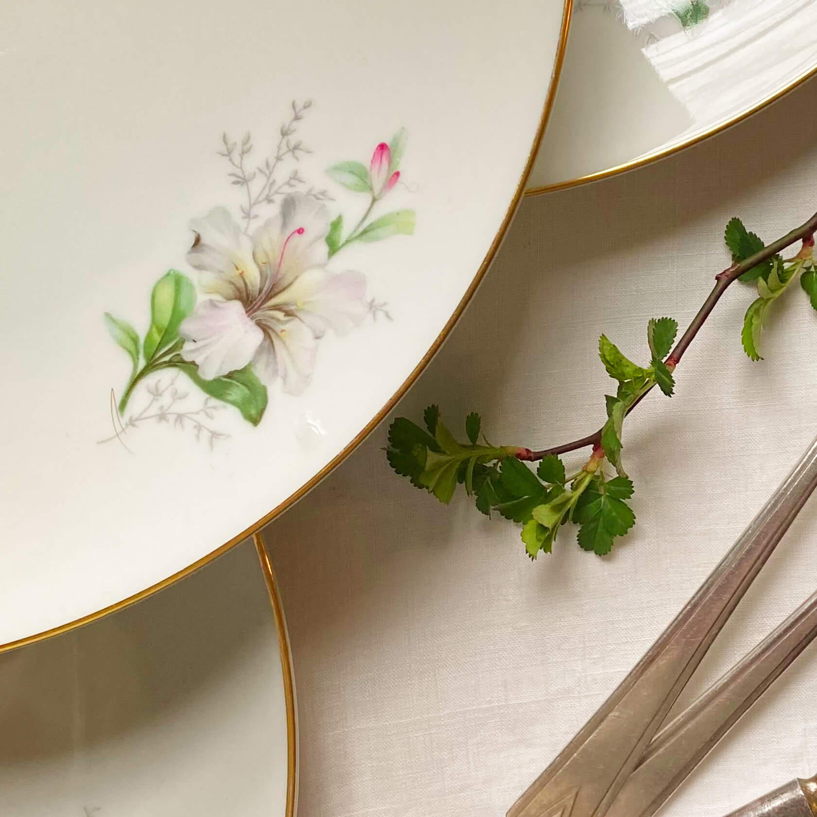 Vintage Porcelain Rhododendron Dinner Plates - Set of Four - Made by Jaeger & Co circa 1949- 1960s