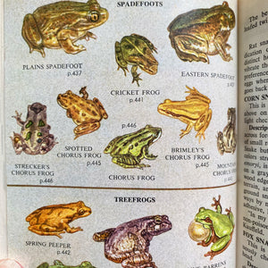 Complete Field Guide to American Wildlife by Henry Hill Collins Jr - 1959 Edition