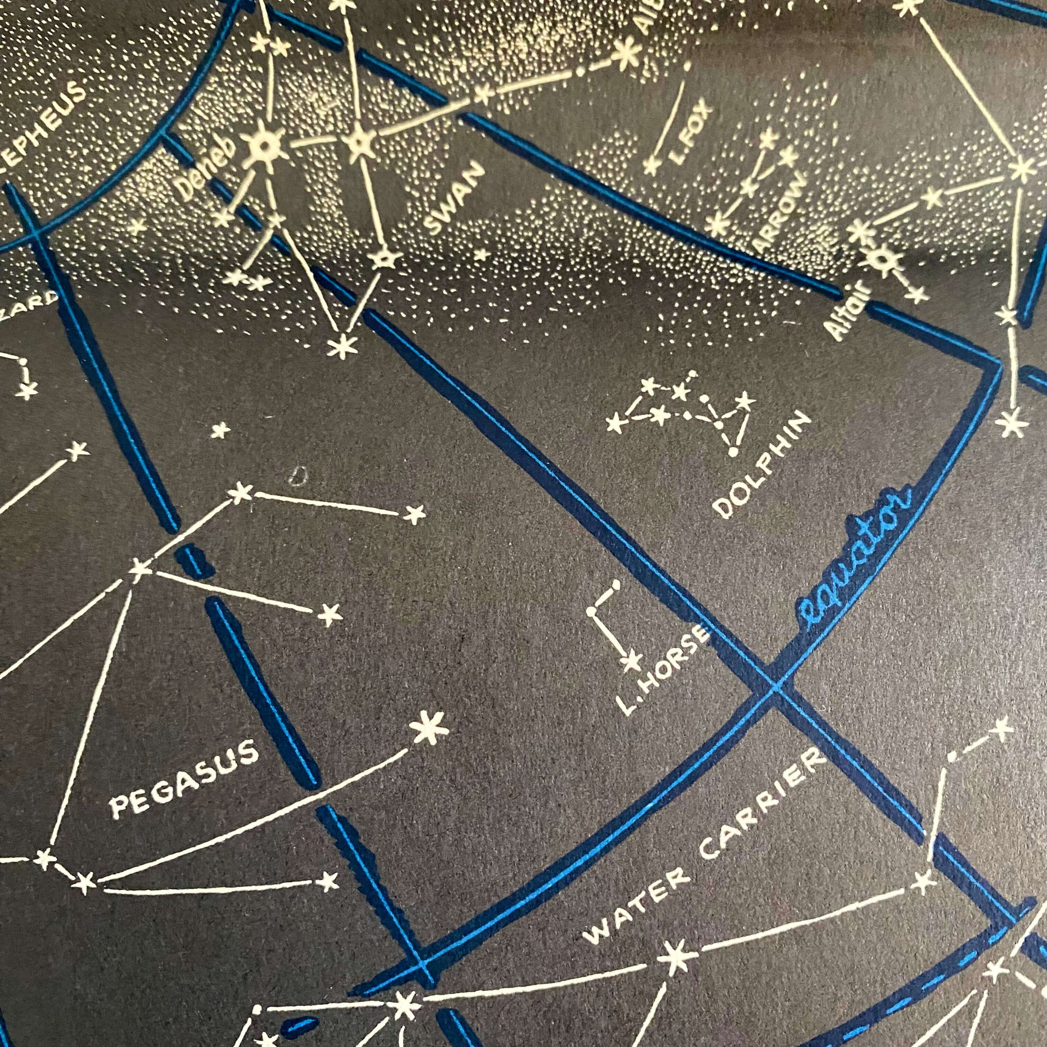 The Stars by H.A. Rey - 1956 Edition Fourth Printing with Wall-Size Chart of the Constellations