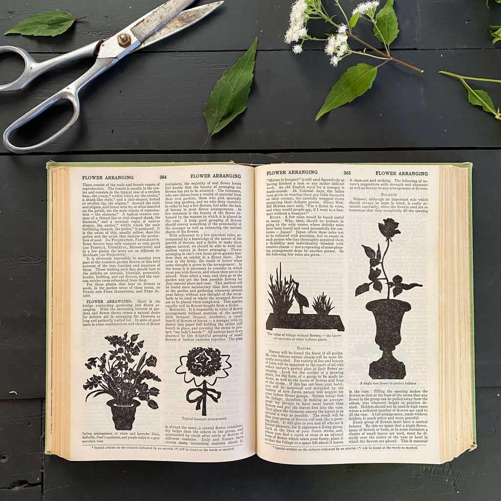 Vintage 1950s Gardening Book - Taylor's Encyclopedia of Gardening Edited by Norman Taylor - 1956 Edition