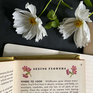 Vintage 1950s Golden Nature Guide - Flowers by Herbert Zim & Alexander Martin circa 1950