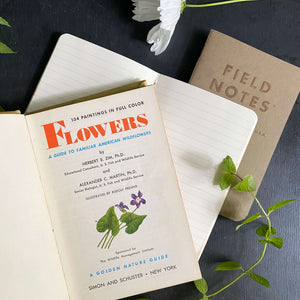 Vintage 1950s Golden Nature Guide - Flowers by Herbert Zim & Alexander Martin circa 1950