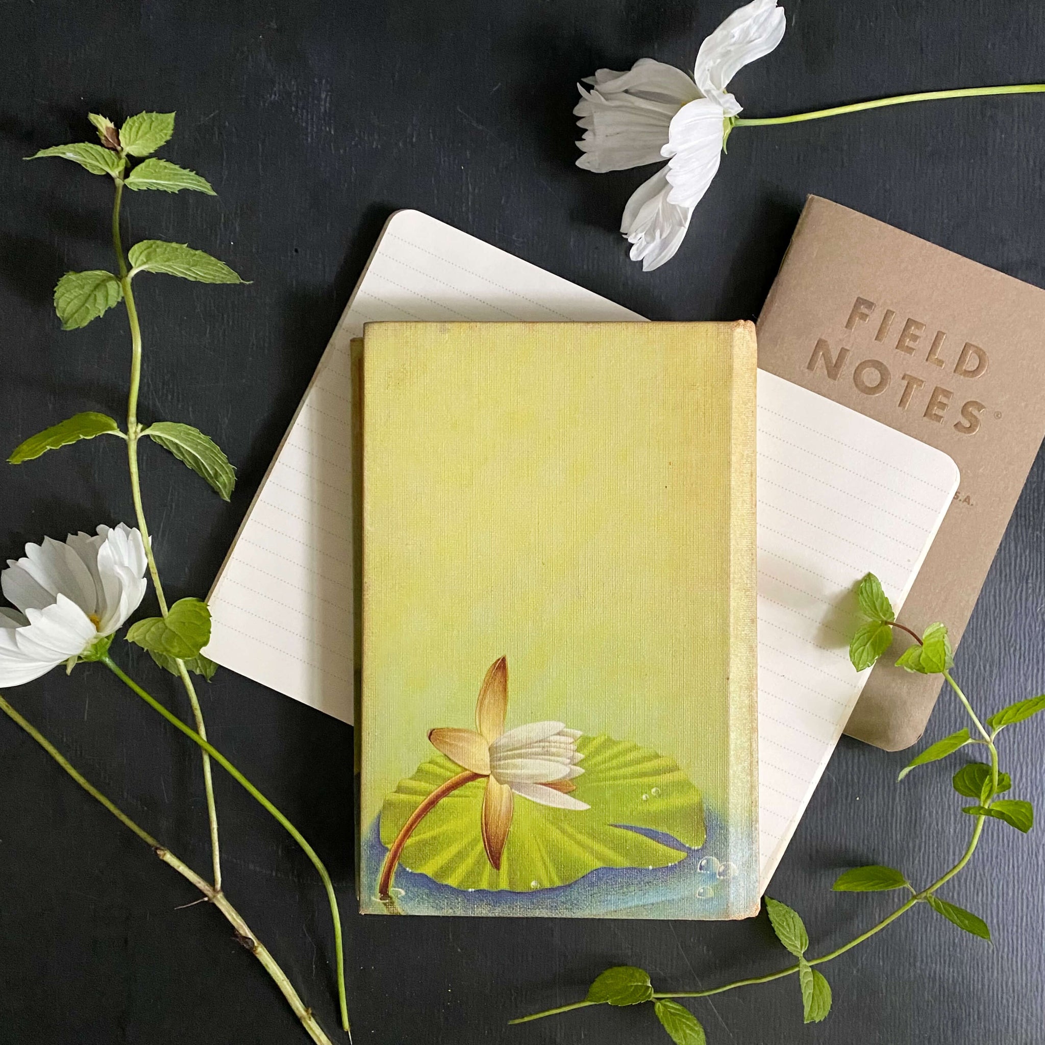 Vintage 1950s Golden Nature Guide - Flowers by Herbert Zim & Alexander Martin circa 1950