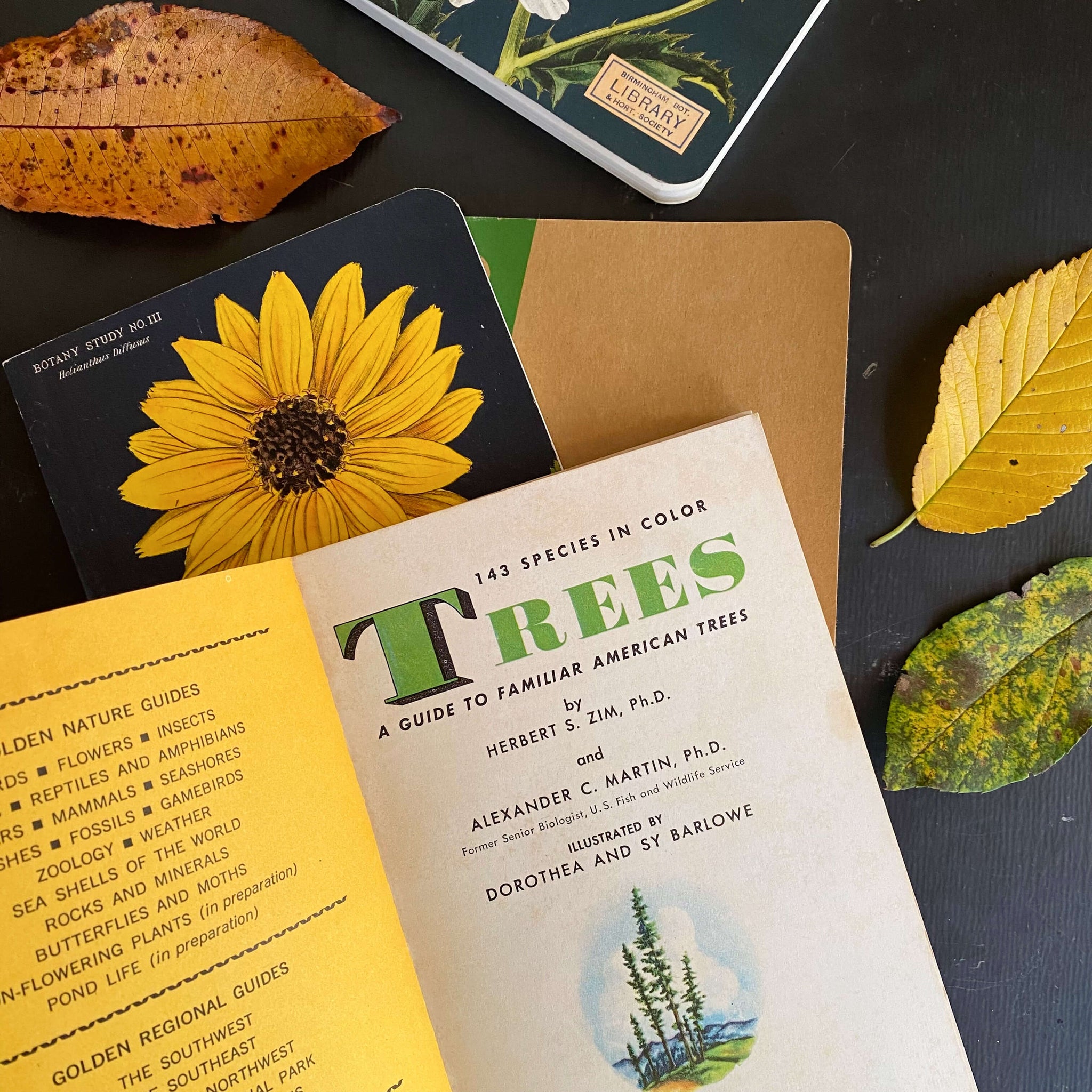 Vintage 1950s Tree Identification Book Circa 1956 By Golden Press In Vintage 1950s tree identification book circa 1956 by golden press in