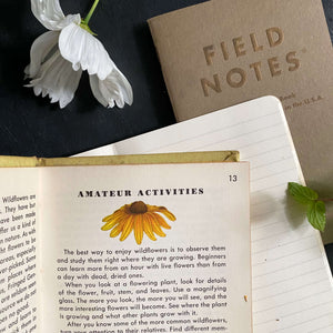 Vintage 1950s Golden Nature Guide - Flowers by Herbert Zim & Alexander Martin circa 1950