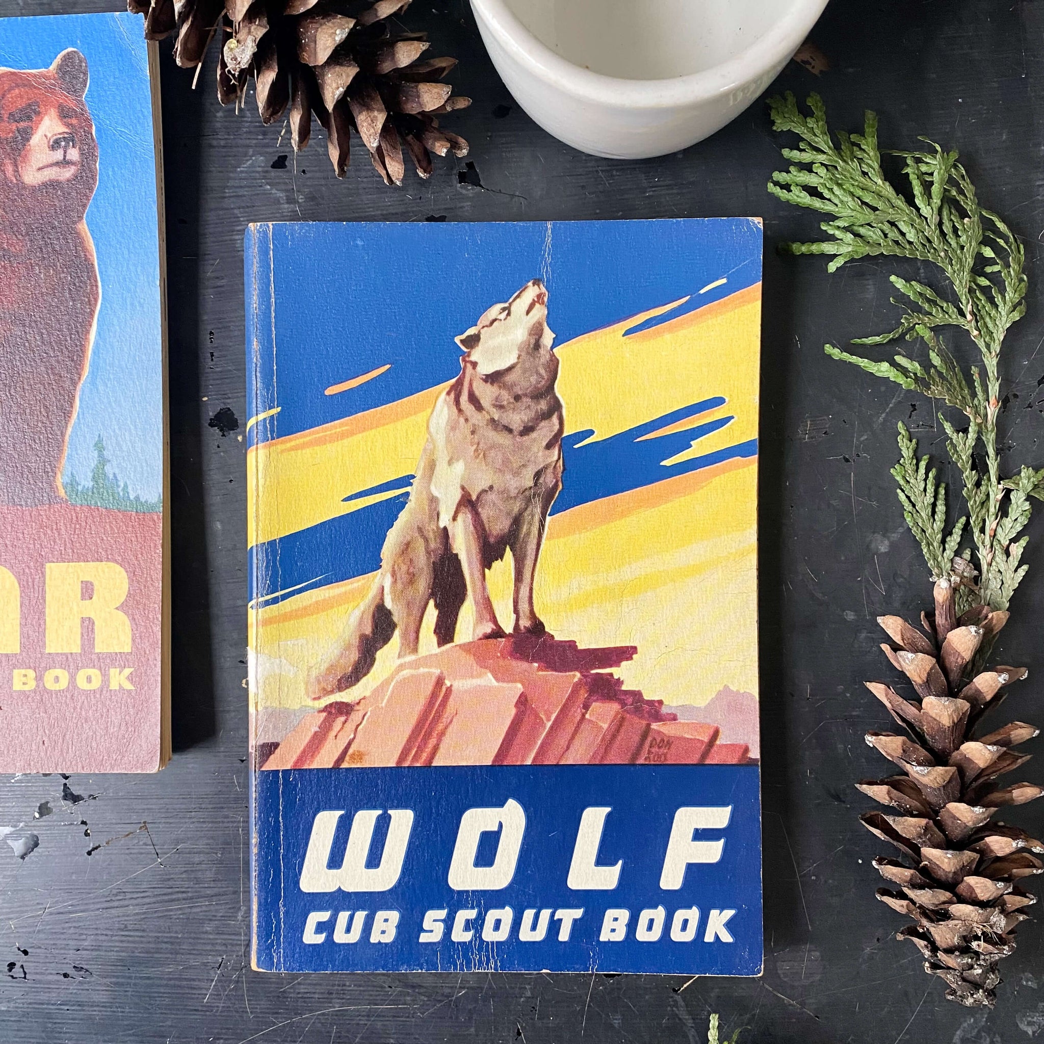 Vintage Midcentury Boy Scout & Cub Scout Book Collection - Set of Three - Bear, Wolf & Boy Scout circa 1959-1967