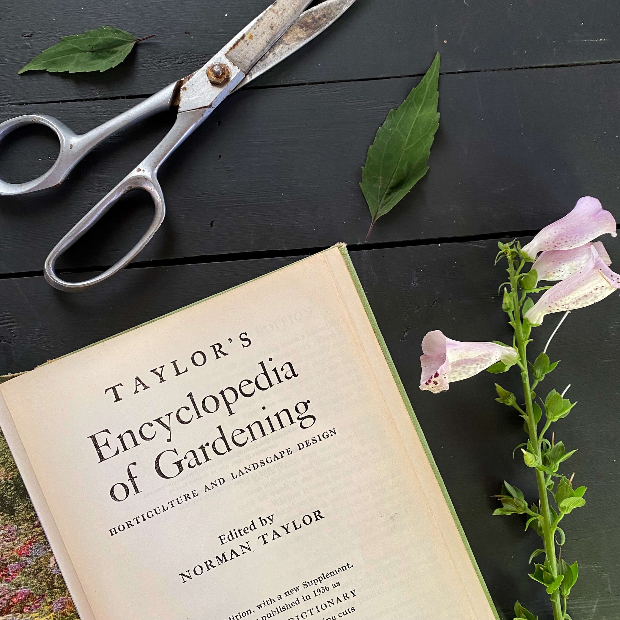 Vintage 1950s Gardening Book - Taylor's Encyclopedia of Gardening Edited by Norman Taylor - 1956 Edition