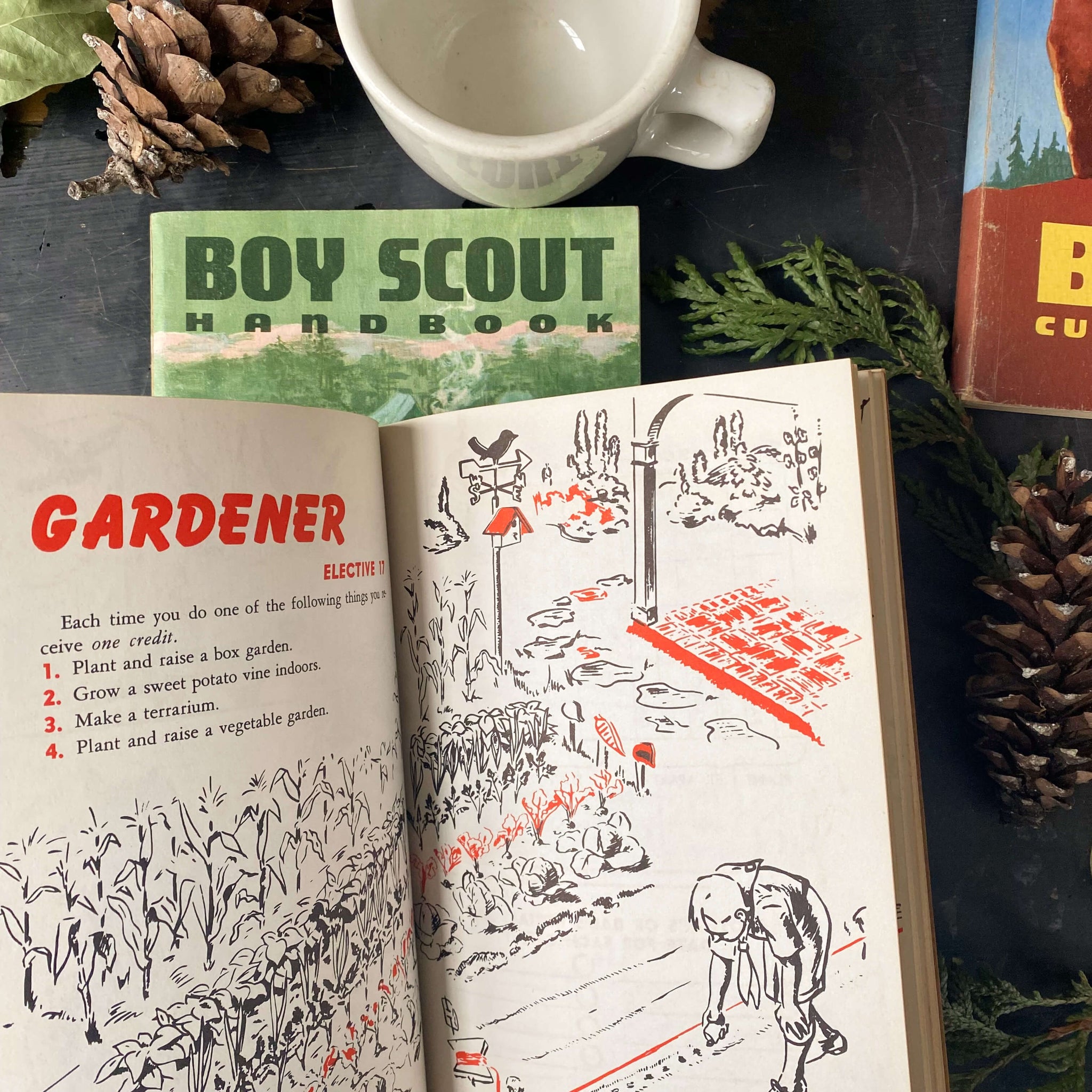 Vintage Midcentury Boy Scout & Cub Scout Book Collection - Set of Thre ...
