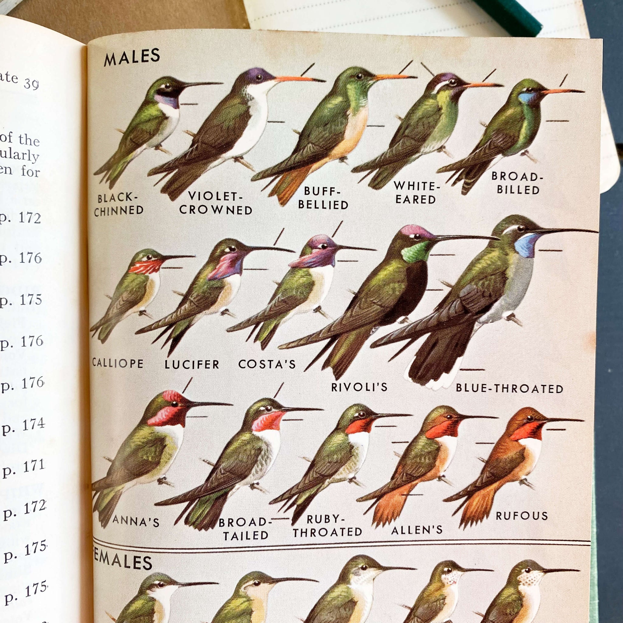 A Field Guide to Western Birds by Roger Tory Peterson - 1961 Edition First Printing