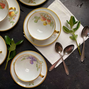Vintage 1960s Hutschenreuther Fruit Pattern Porcelain Cups and Saucers - Set of Seven