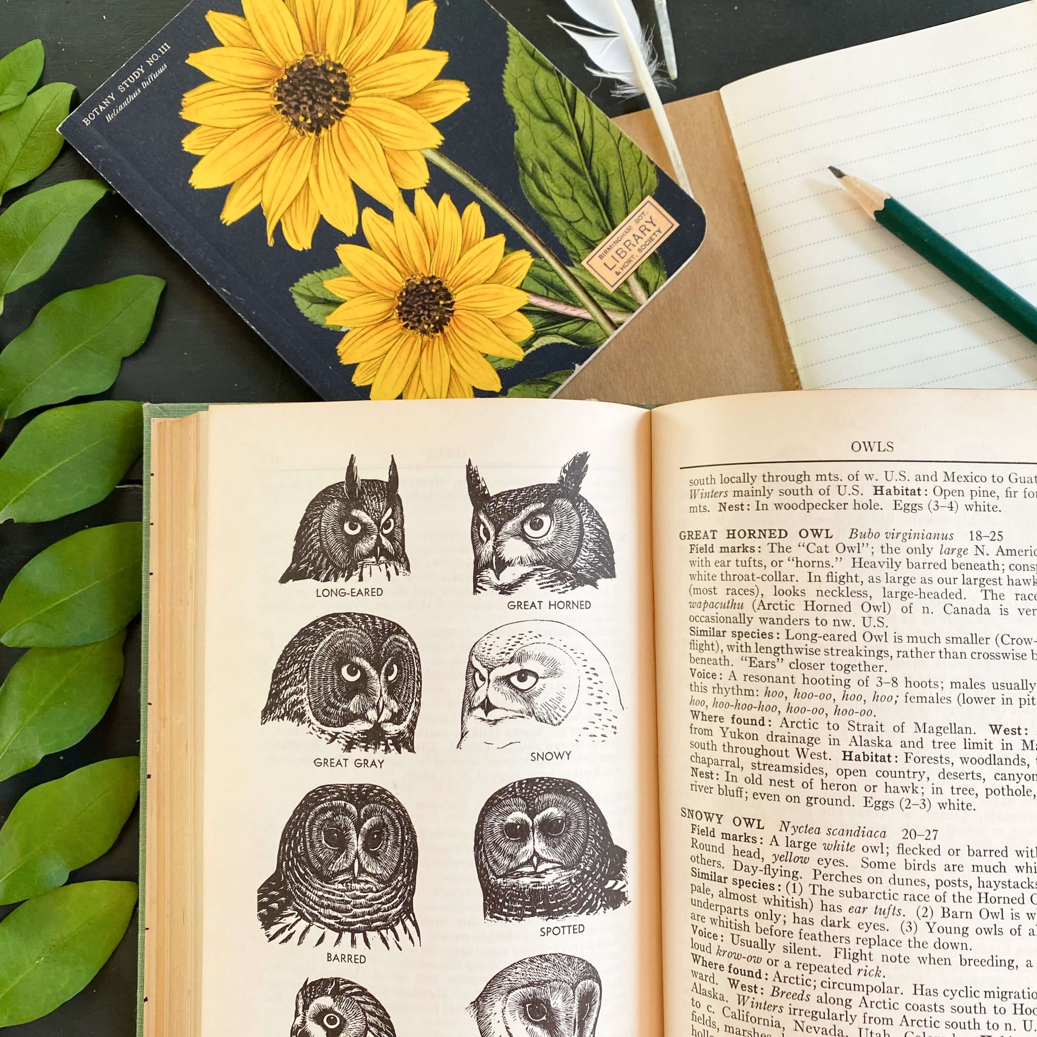 A Field Guide to Western Birds by Roger Tory Peterson - 1961 Edition First Printing