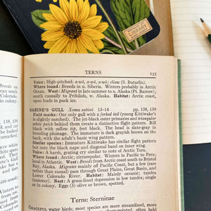 A Field Guide to Western Birds by Roger Tory Peterson - 1961 Edition First Printing