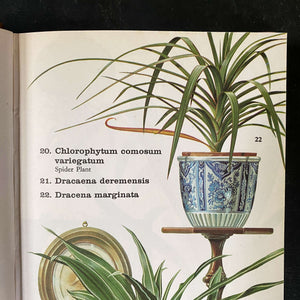 encyclopedia of house plants The Pocket Encyclopedia of Indoor Plants - Age Nicolaisen
