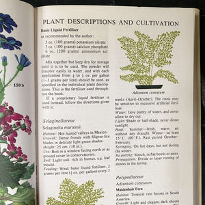 the pocket encyclopedia of indoor plants The Pocket Encyclopedia of Indoor Plants - Age Nicolaisen