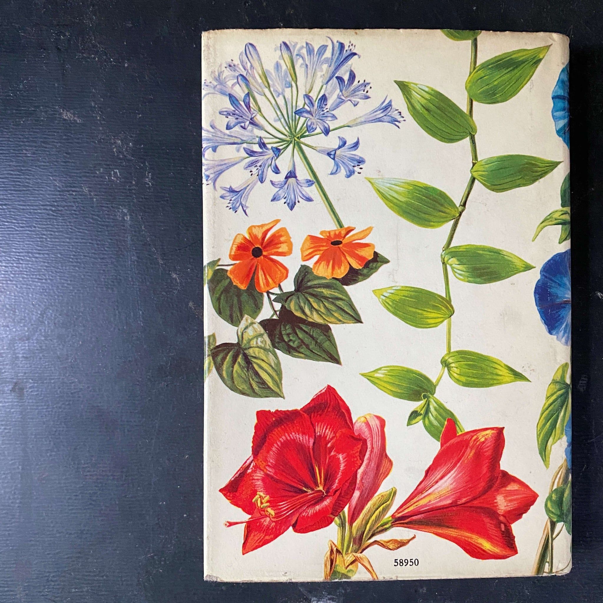 Botanical Guide Book The Pocket Encyclopedia of Indoor Plants - Age Nicolaisen - 1974 Editi ...