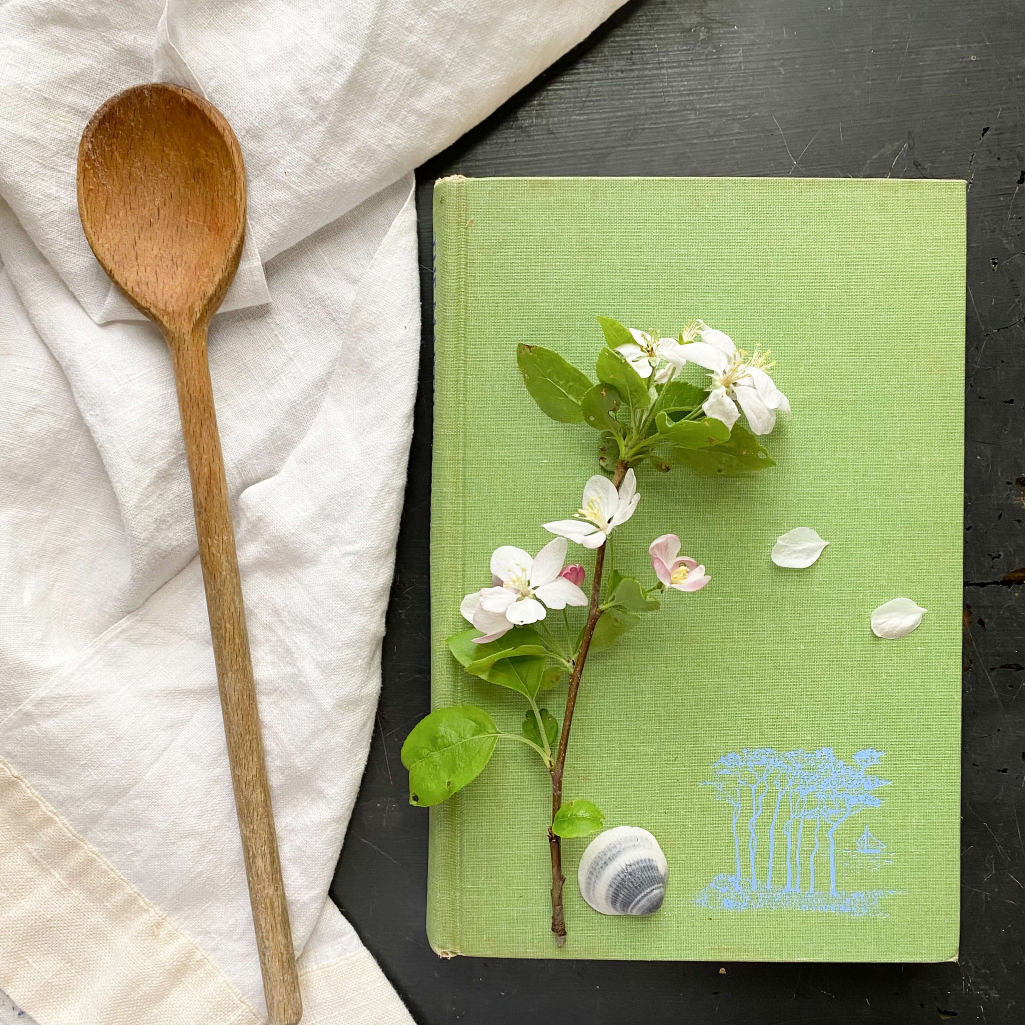The Martha's Vineyard Cook Book by Louise Tate King and Jean Stewart Wexler - 1971 Edition