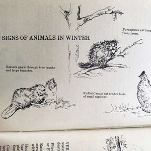 The Naturalist's Almanac and Environmentalist's Companion by John F. Gardner - 1976 Edition