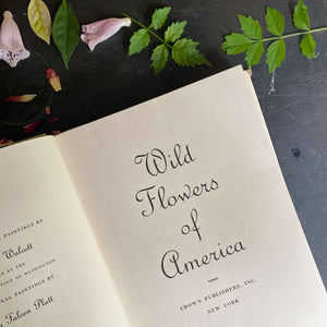 Vintage Oversized Botanical Coffee Table Book - Wild Flowers of America by Mary Vaux Walcott & Dorothy Falcon Platt - 1975 Edition, 12th Printing