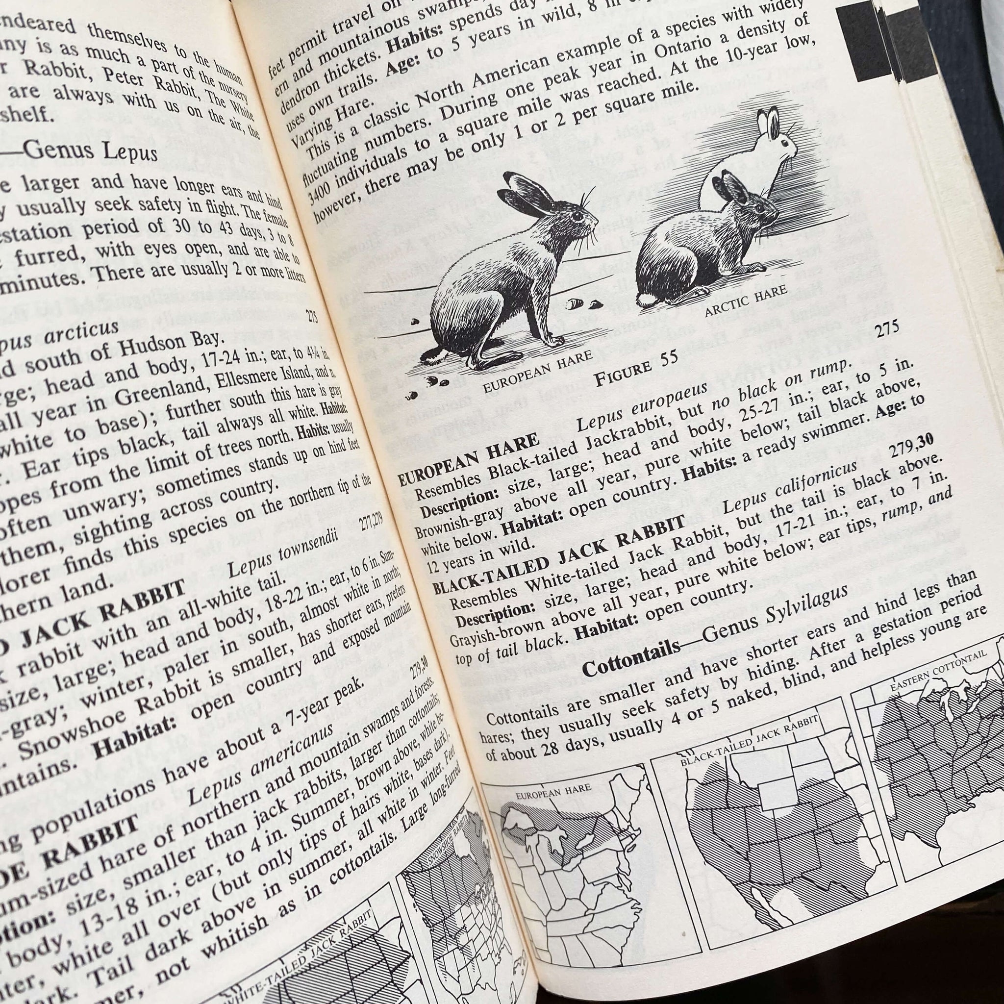 Complete Field Guide to American Wildlife by Henry Hill Collins Jr - 1959 Edition