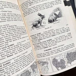 Complete Field Guide to American Wildlife by Henry Hill Collins Jr - 1959 Edition