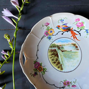 Vintage Arzberg Bavaria Porcelain Niagara Falls Cake Plate with Bird and Floral Design circa 1920s-1930s
