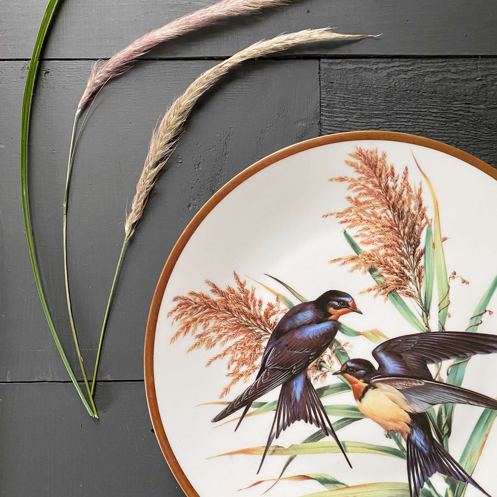 Vintage French Porcelain Bird Plate with Barn Swallows by Roger Tory Peterson circa 1981