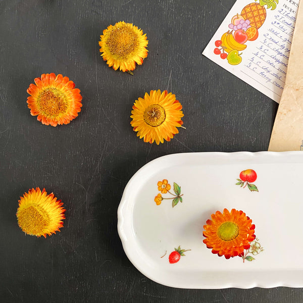 Vintage Porcelain Open Butter Dish - Petite Fruit Pattern by Raintree ...