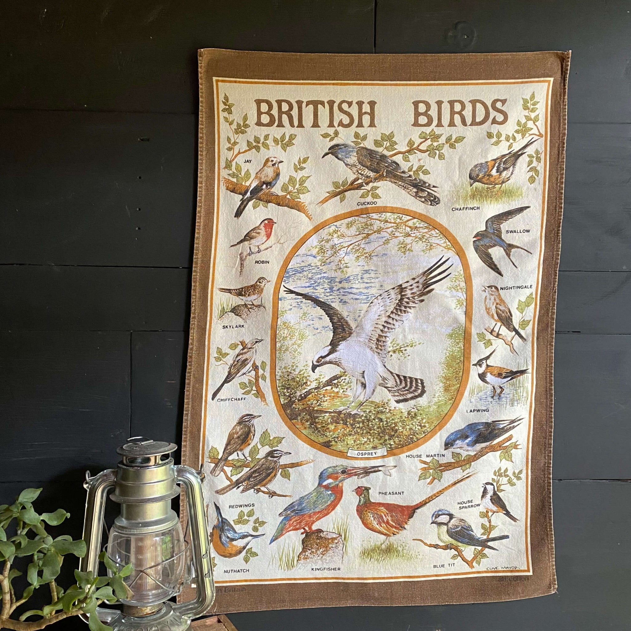 Vintage British Birds Tea Towel by Clive Mayor  - Made in England