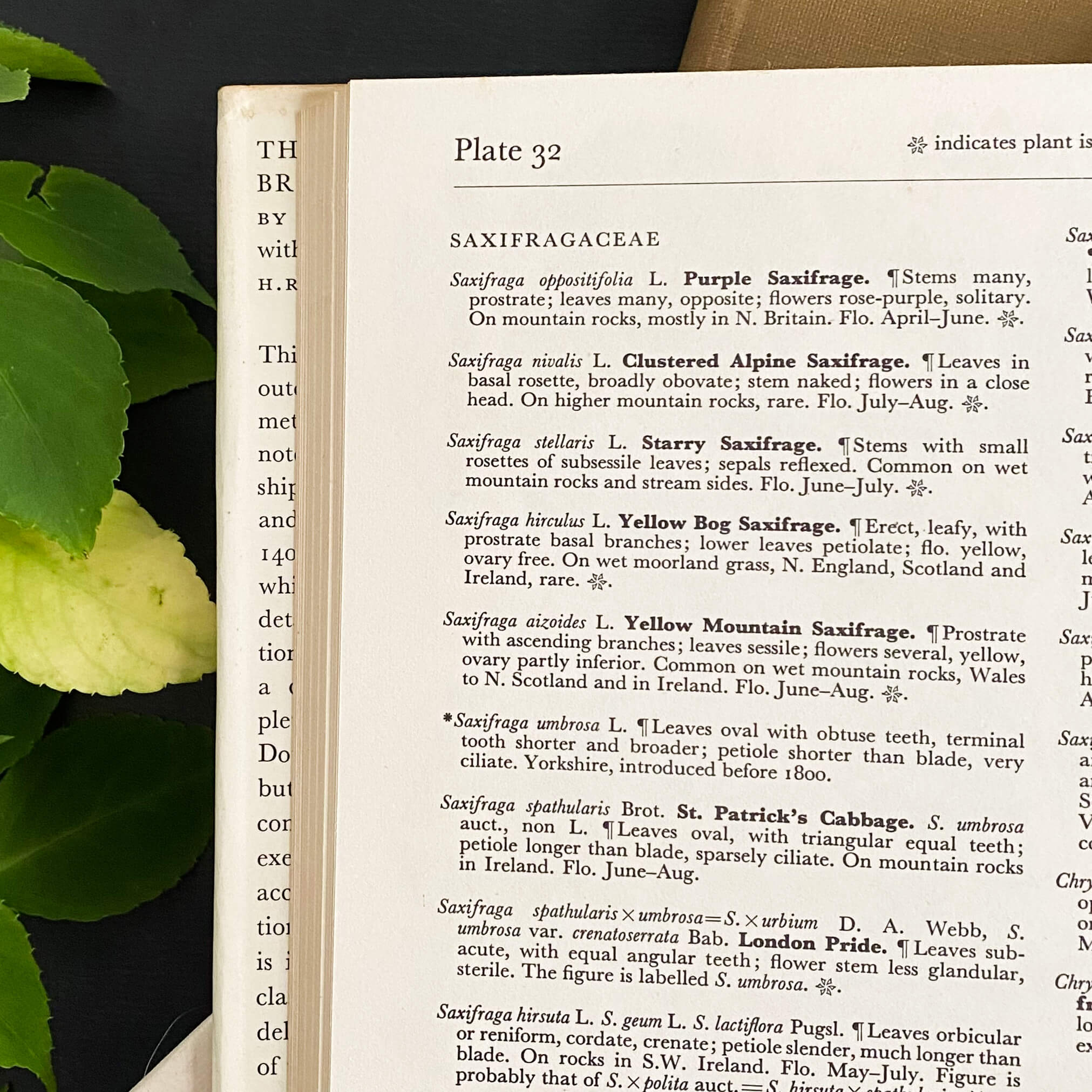 The Concise British Flora in Colour by W. Keble Martin -1965 Edition, 4th Impression