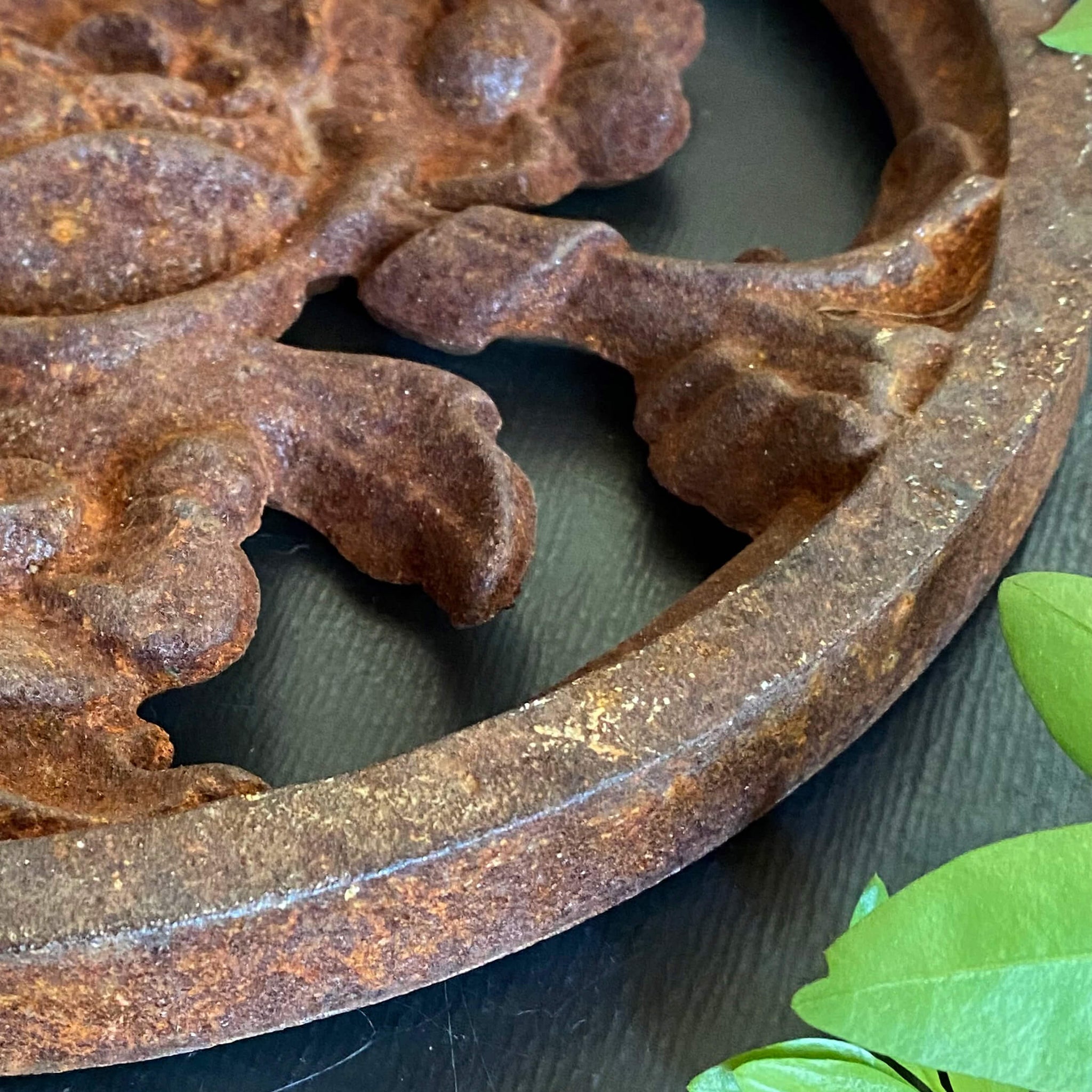 Heavy Vintage Cast Iron Ornamental Medallion -  Floral Garden Salvage Wall Hanging